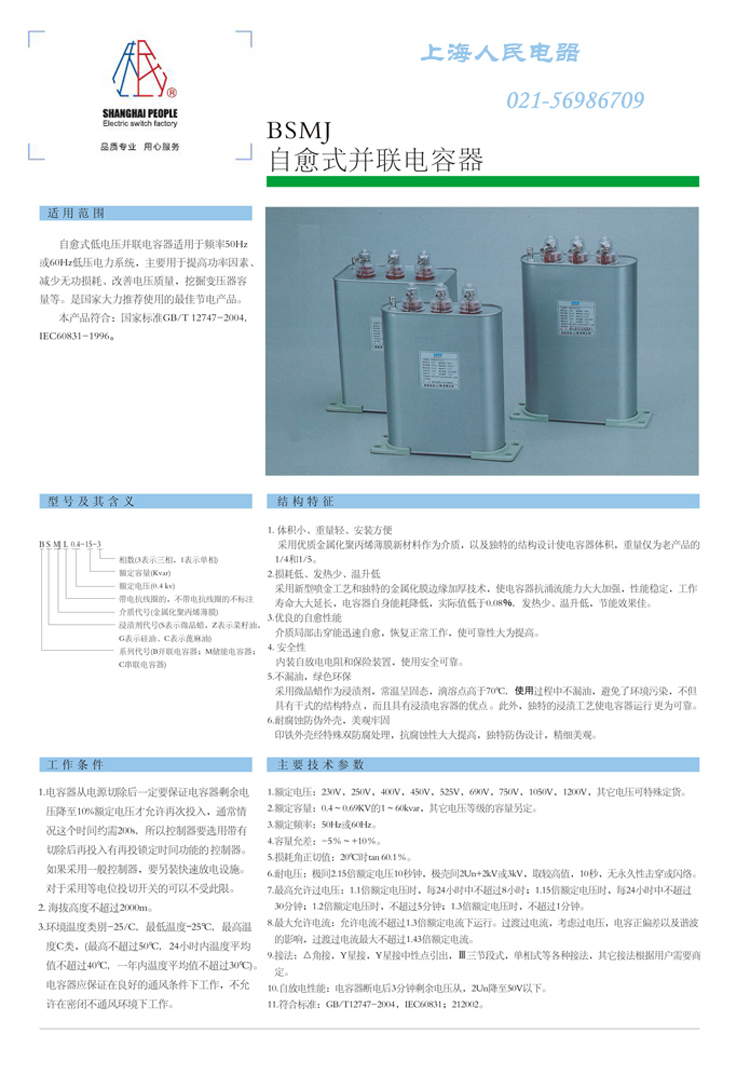 BSMJ电容器选型样本，参数，规格等详细参见http://www.renminkaiguan.com/capacitor/bcmj-series-capacitor